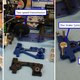 Image for article titled You Can Learn A Lot About How Vehicles Work By Restoring A Remote Control Car